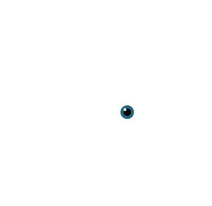 Left eye